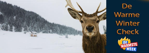  De Warme Winteractie van Garage Borremans: waarom wij meevlammen voor De Warmste Week